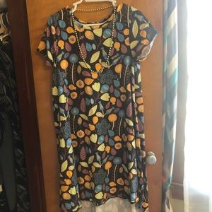 LulaRoe Carly size M
